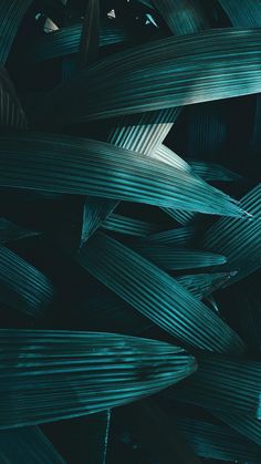 an abstract photo of green leaves in the dark