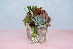 a potted plant with succulents and other plants in it on a pink surface