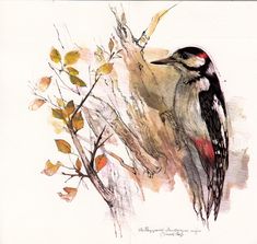 a watercolor painting of a bird perched on a tree branch with leaves around it