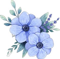 three blue flowers with green leaves and buds on a white background, painted in watercolor