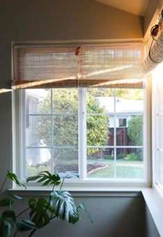 a plant is sitting in front of a window with blinds on the windowsills