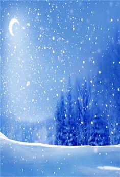 a snowy landscape with trees and the moon in the sky at night, as seen from across the snow - covered ground