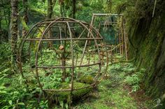 an outdoor sculpture in the woods surrounded by trees and plants, with moss growing on the ground