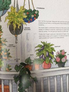 an open book with pictures of plants on the page and instructions to grow them in pots