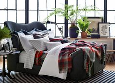 a living room filled with furniture and lots of windows next to a plant on top of a table