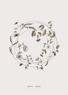 an illustration of flowers and leaves arranged in a circle