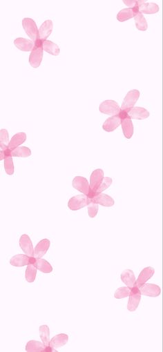 some pink flowers on a white background