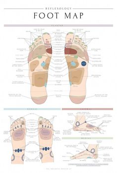 Health Chart, Spa Decor, Therapy Room