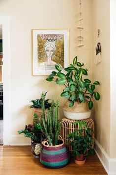 some plants are sitting on the floor in front of a painting and potted plant