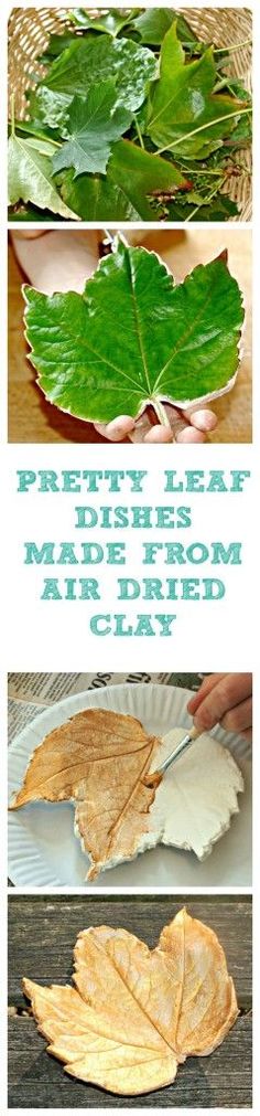 four pictures with different types of leaves and text that says, fresh leaf made from air dried clay