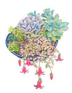 a painting of succulents and flowers in a blue bowl