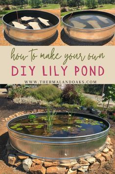 how to make your own diy lily pond