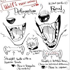 the wolf's nose and teeth are drawn in different ways