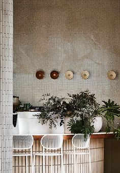 three white chairs sitting next to each other in front of a counter with potted plants on it