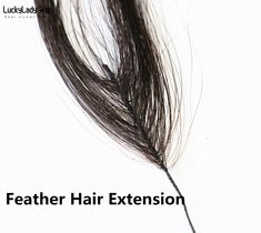 The Lightest hair extensions 9A top quality 100% human hair feather hair extensions real human hair extensions 125-250strands remy hair feather hair extensions free shipping Why Feather hair extensions? 1.lightest hair extension.It's very light and feels less 2.one ️ perfect connection, no pruning and no fault 3.discount ️ imitation real occurrence long, real nature 4.no tension when connecting, no hair injury and hair loss when disconnecting 5.convenient hair, can comb in the end 6.easy to wash Weft Hair Extensions Before And After, Nano Hair Extensions, Glue In Hair Extensions, Wash And Blow Dry, Hair Extensions Before And After, Light Ash Brown, Hair Extensions For Short Hair, Real Human Hair Extensions, Feather Hair Extensions