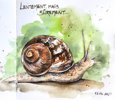 a watercolor painting of a snail on top of a piece of paper with words written underneath it