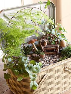 a basket filled with lots of plants sitting on top of a wooden table next to a window