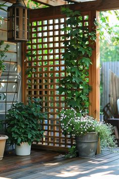 some potted plants are sitting on a wooden deck in front of a trellis