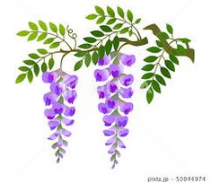 purple flowers are hanging from a branch with green leaves on the top and bottom branches