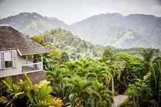 a house surrounded by palm trees and mountains