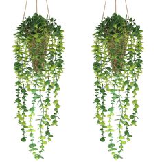 PRICES MAY VARY. 🌳【Artificial Eucalyptus Plants】: Each of our artificial hanging plant has 15Pcs (6 short and 9 long) of eucalyptus plants fixed in a woven basket, and has real sand covered on the surface, looks more fresh and aesthetic and brings you a sense of vitality in life. 🌳【100% Handmade Woven Basket】: Each of our basket is 100% handmade by experienced craftsman, using natural and strong grass and adding metal as a frame to make it more natural and sturdy, forming an unexpected and uni Hanging Potted Plants, Artificial Hanging Baskets, Fake Potted Plants, Fake Hanging Plants, Basket Wall Hanging, Vertical Garden Indoor, Shelf Decor Living Room, Artificial Hanging Plants, Outdoor Aesthetic