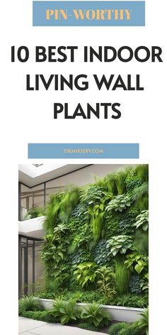 an indoor living wall with plants on it and the words pin worthy 10 best indoor living wall plants