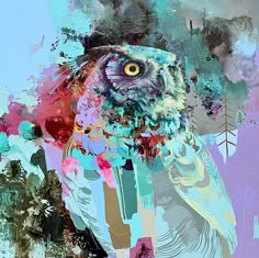 an owl is sitting on a branch in front of the sky and clouds, with colorful paint splatters all over it