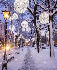 snow covered park benches and street lights in the wintertime with white balls hanging from them