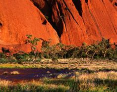 the rock formations are red in color and green trees around them, with water running between them