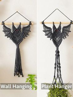 two pictures of the same hanging plant hanger