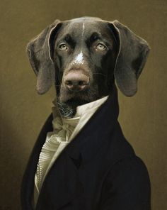 a dog dressed in a suit and bow tie looking at the camera with an intense look on his face