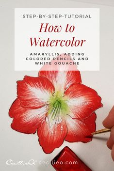 the step - by - step guide to watercolor amaryllis adding colored pencils and white crayons