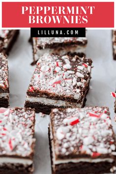 Beautifully layered peppermint brownies are fudgy and delicious with a dusting of crushed candy - they're perfect for the holidays! #peppermintbrownies #brownies #candycanebrownies #brownierecipe #peppermint #dessert Peppermint Cream Cheese Brownies, No Bake Peppermint Cheesecake Bars, Brownies With Andes Mints, Easy Christmas Brownie Recipes, Unique Brownie Recipes, Easy Xmas Desserts, Christmas Brownies Ideas, New Years Food, Peppermint Desserts