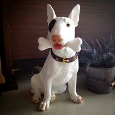 a white dog statue sitting next to a potted plant