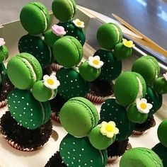 cupcakes with green frosting and flowers on them are arranged in the shape of cactuses