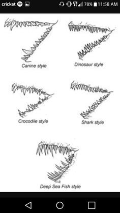 the different types of fish's teeth