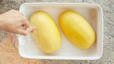 two yellow squash in a plastic container