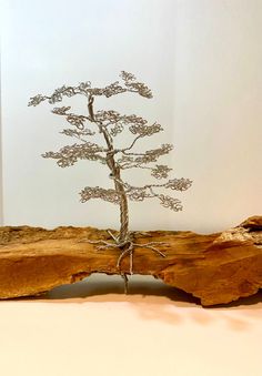 a small tree sitting on top of a piece of wood