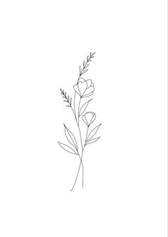 a line drawing of flowers on a white background