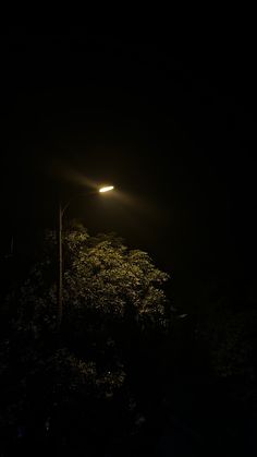 a street light shines brightly in the dark night sky above some trees and bushes