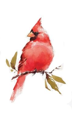 a watercolor painting of a cardinal sitting on a branch