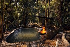 a fire pit in the middle of a forest filled with rocks and trees, surrounded by water