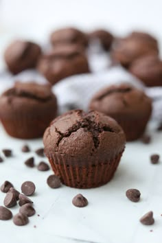 chocolate muffins with chocolate chips scattered around them