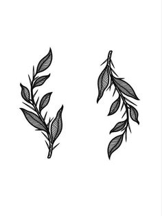 two black and white leaves on a white background