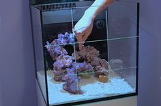 a person is reaching for some rocks in a fish tank with blue gravel and water