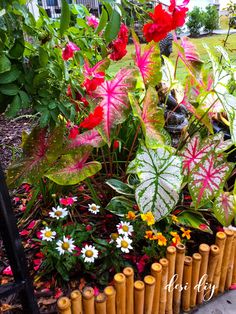 a garden filled with lots of different types of flowers and plants next to a fence