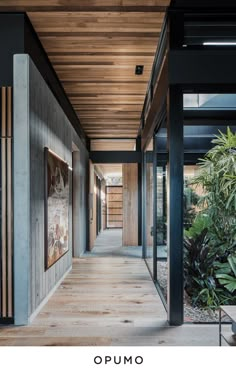 the hallway is lined with wooden planks and has plants on either side of it