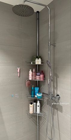 a shower head and shelves in a bathroom