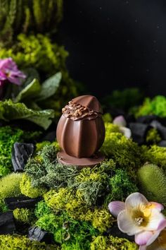 a chocolate egg sitting on top of moss covered ground with flowers and leaves around it