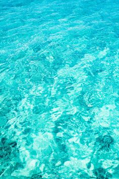 the water is very clear and blue with little waves in it's wakers